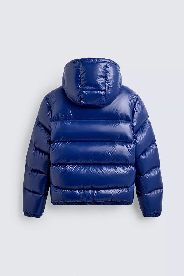 BLUE PUFFER BASIC